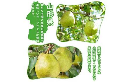 《令和7年産先行受付》※数量・期間限定※ 山形県産ラ・フランス 秀品 約3kg 8玉～14玉前後 なし ナシ 梨 デザート フルーツ 果物 くだもの 果実 食品 山形県 FSY-1871
