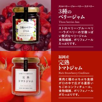 【アンダンテ】産地にこだわった美味しい ノンシュガー手作りジャム6種セット（6瓶入）_ノンシュガー 手作り ジャム コンフィチュール 6種 セット いちご 桃 オレンジ ライム いちじく ベリー トマ