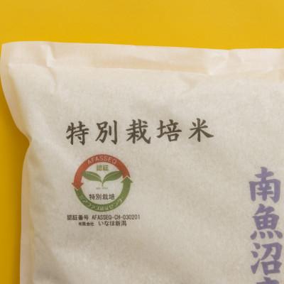 ふるさと納税 南魚沼市 【令和5年産 】 南魚沼産コシヒカリ「特別栽培米(アファス認証)」精米5kg |  | 01
