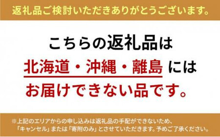 グラッチェ冷凍ハンバーグ9個入り　ソース6個入り