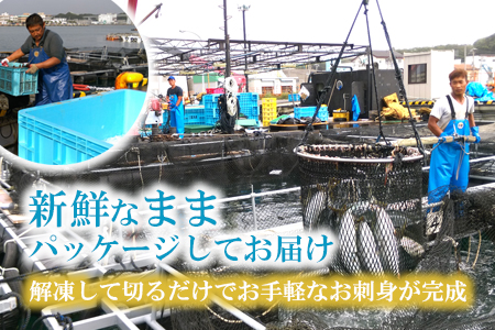 【高鮮度】サーモンお刺身セット　M079-001