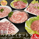 【ふるさと納税】赤村 養生館 豚肉 セット 2.5kg 豚 しゃぶしゃぶ しょうが焼き 肩 ロース バラ 焼肉 とんかつ 豚小間切れ 小間切れ 福岡県 福岡県赤村 B6