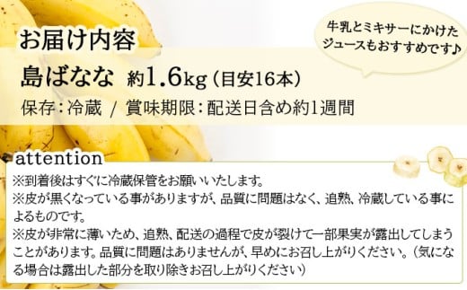 【先行予約 2026年5～10月順次発送】バナナ好きに届けたい！！届いてすぐ食べられる、もっちり食感がやみつきの希少な国産『プレミアム島ばなな』を大容量でお届け！！1.6kg(約16本) 【2026年