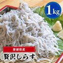 【ふるさと納税】愛媛県産 大容量 贅沢 しらす 1kg ( 1kg × 1パック ) | 約15人前 しらす丼 丼ぶり 魚 さかな ご飯 ごはん 炒飯 チャーハン パスタ スパゲティ サラダ 卵焼き お取り寄せ グルメ 人気 おすすめ 愛媛県 松山市