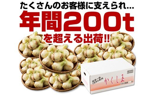 今井ファームの淡路島たまねぎ「かくし玉」5kgとたまねぎスープ10食