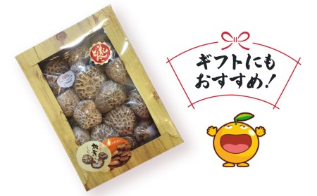 最高級 大分県産 花どんこ 椎茸 380g | 椎茸 津久見市