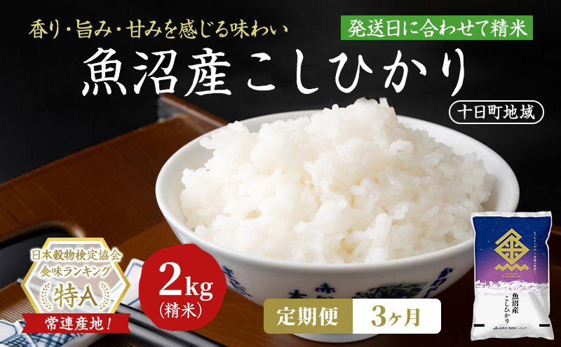 【令和8年産 先行予約】【3ヶ月定期便】魚沼産こしひかり(十日町地域) 精米 2kg 米 お米 コシヒカリ 定期 十日町市