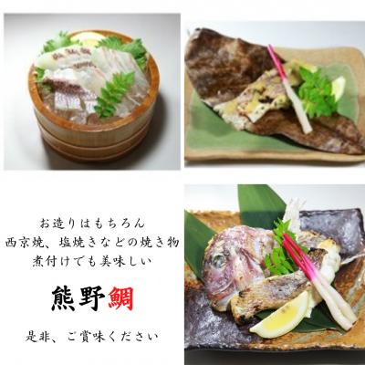 ふるさと納税 熊野市 【テレビで紹介されました】水谷水産　【新姫熊野鯛】 下処理済み (冷凍) |  | 01
