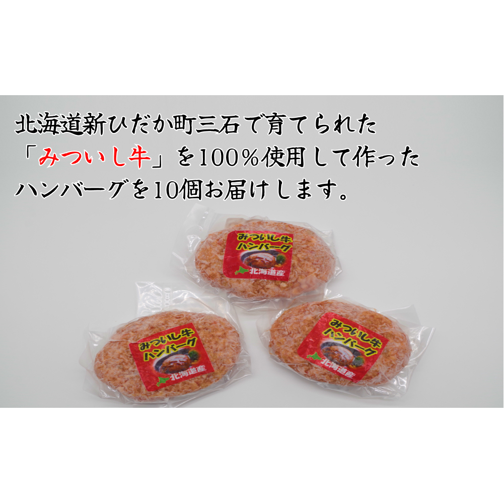 北海道産 黒毛和牛 みついし牛 ハンバーグ 計 1kg （ 100g × 10個 ）_イメージ2