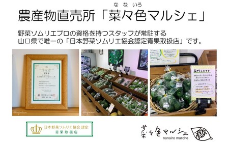 ミルキークイーン 5kg 野菜ソムリエ プロselect 萩のお米 萩市 椿産 米 お米 白米