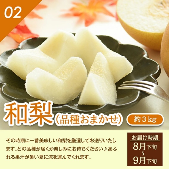 SF0235　【4回定期便】とれたて！フルーツ頒布会2025 (アンデスメロン、和梨、庄内柿、ラ・フランス)