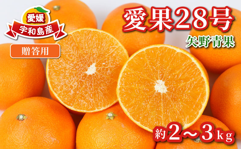 
                  みかん 贈答用 愛果28号 2 ~ 3kg 化粧箱入 矢野青果 柑橘 蜜柑 mikan 高級 ブランド 限定 人気 品種 甘い ゼリー プルプル 果物 くだもの フルーツ 人気のみかん 美味しいみかん 濃厚 贈答品 数量限定 産地直送 先行予約 国産 愛媛 宇和島 B012-171004
                