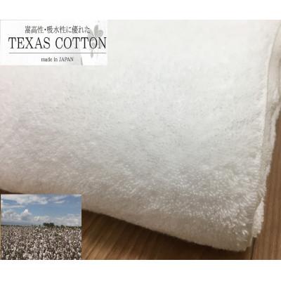 ふるさと納税 泉大津市 TEXSAS　COTTON　100%　タオルケット　シングル　ホワイト　1枚　SNT-20TXWH |  | 02