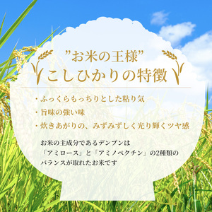 米 令和5年 広島県安芸高田市産 こしひかり 10kg（5kg×2袋）