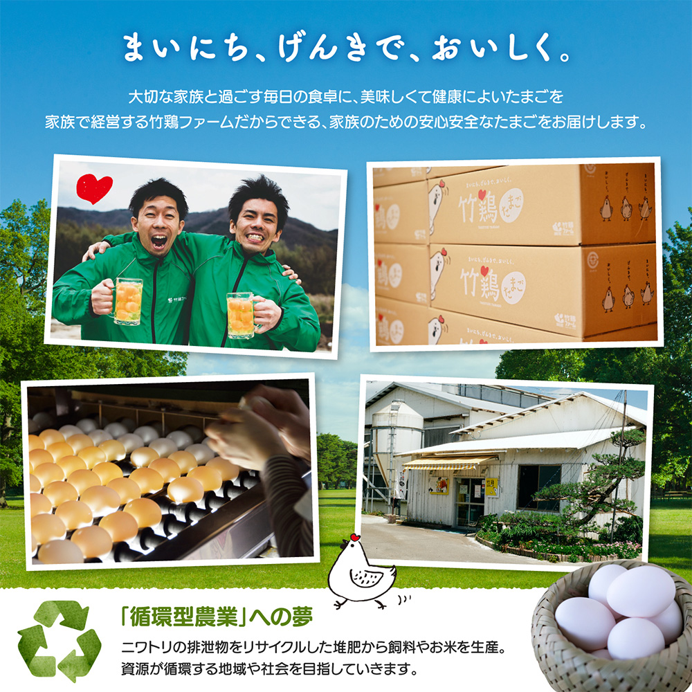 【選べる単品or定期便】＜白石蔵王育ち＞「竹鶏たまご」30個（保証5個含む）【17153】 定期便(3回配送)