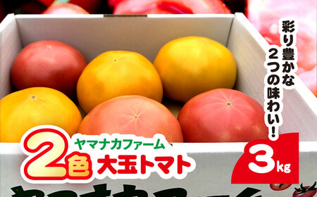 赤金2色（大玉）トマト SHAK005