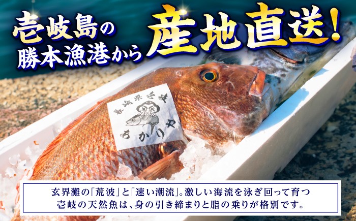 刺身 さしみ 贅沢 ご褒美 海鮮丼 お寿司 魚介 セット 食べ比べ 小分け お造