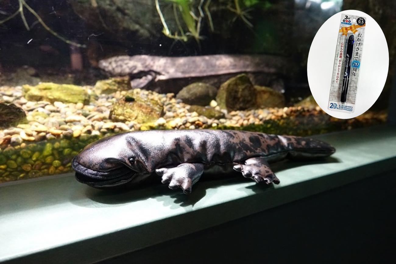 
            1001 世界淡水魚園水族館　アクア・トトぎふ　オオサンショウウオペンケース＋ボールペン
          
