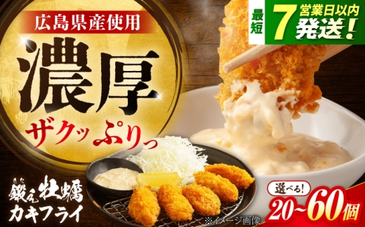 鍛え牡蠣のカキフライ 20個入り 江田島市／有限会社寺本水産 [XAE015]