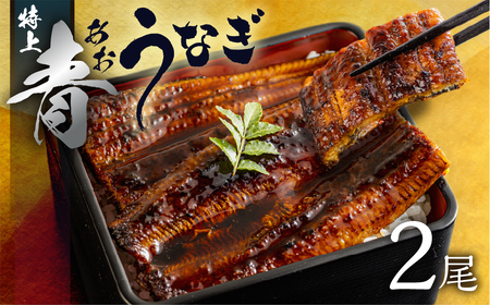 幻の青うなぎ＆田原牛 堪能 定期便 6回お届け