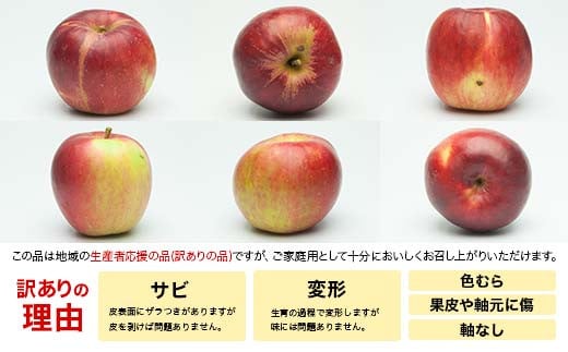 FYN9-968 ≪2025年先行予約≫ ご家庭用 山形県産 品種おまかせ りんご 赤色系 5kg 2025年10月上旬から順次発送 果物 くだもの フルーツ 林檎 リンゴ アップル 秋果実 生産者支
