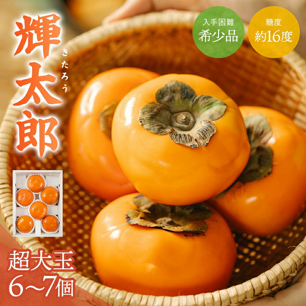 【ふるさと納税】　希少な柿【輝太郎】大玉6個～7個 コクのある甘さ！こだわり農家厳選【2025年10月初旬頃から10月下旬頃順次発送】 / 柿 かき 果物 フルーツ 輝太郎 デザート おやつ 和菓子 菓子 お菓子 和歌山産 和歌山県産【kgr018】