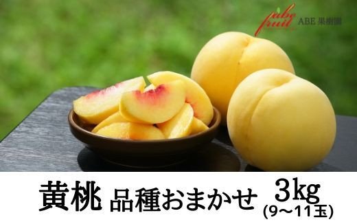 【ふるさと納税】No.2303黄桃　品種お任せ約3kg【2025年発送　先行予約】