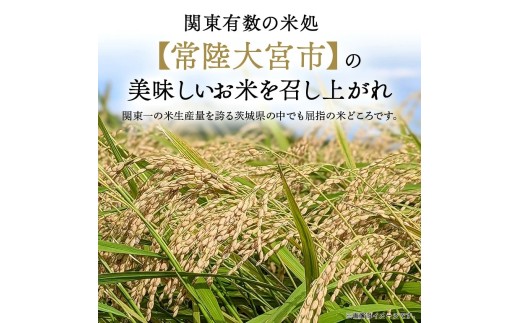【10kg×3回 定期便】米 こめ お米 コメ 茨城県産 こしひかり コシヒカリ 10kg × 3ヶ月定期便 米 お米 令和8年産 精米 白米 こめ コメ ご飯 10キロ 新米 【有限会社桂農産】【h