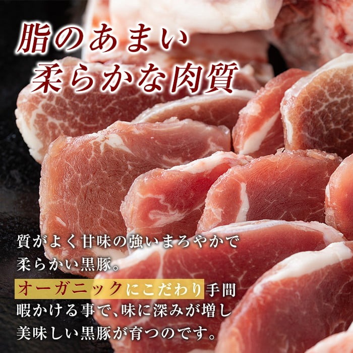 B-119 鹿児島黒豚うす切り肉3kg(200g×15パック)鹿児島県が誇る黒豚肉の薄切りを各200gの小分けにしてお届け【米平種豚場ふくふく黒豚の里】 霧島市 豚肉 切り落とし 小分け ぶたにく 豚