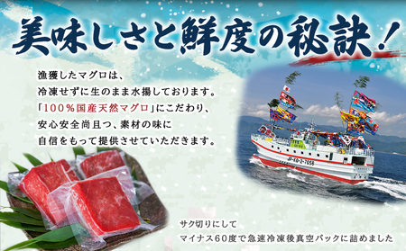 厳選天然国産本マグロ 赤身 500g 以上 魚 高知県 室戸市 刺身 刺し身 漬け丼 海鮮丼 おかず 魚介類 海鮮 海産物 まぐろ 本まぐろ 鮪 ブロック 500グラム 惣菜 冷凍