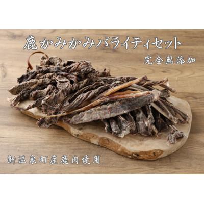 ふるさと納税 新温泉町 鹿かみかみジャーキー　バライティセット