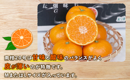 愛媛みかん 南柑20号 5kg MまたはL サイズ 上杉果樹園 先行予約 温州蜜柑 温州みかん 温州 mikan 愛媛ミカン 愛媛蜜柑 みかん ミカン 蜜柑 果物 フルーツ 柑橘 農家直送 産地直送 