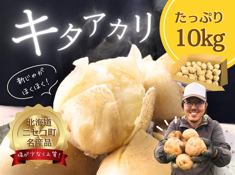 《2025年分受付中》甘くてほくほく!北海道ニセコ名産「キタアカリ」新じゃが10kg/高橋農園【3700501】