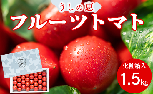 【先行受付】うしの恵 フルーツトマト 化粧箱入り 約1.5kg - 野菜 とまと 産地直送 2026年発送 令和8年 料理 アレンジ サラダ 鍋 サンドイッチ 完熟 甘い あまい フレッシュ さっぱり 酸味 ギフト 贈答 お礼 御礼 おいしい 国産 高知県 香南市