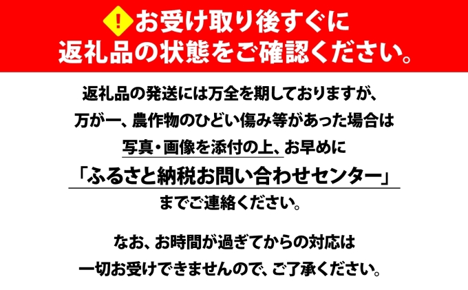 【 2026年 発送 】 北海道産 とうもろこし 2種 計24本 L-2L サイズ混合 味来 ロイシーコーン 食べ比べ セット 旬 朝採り 新鮮 トウモロコシ とうきび お取り寄せ 産地直送 野菜 し
