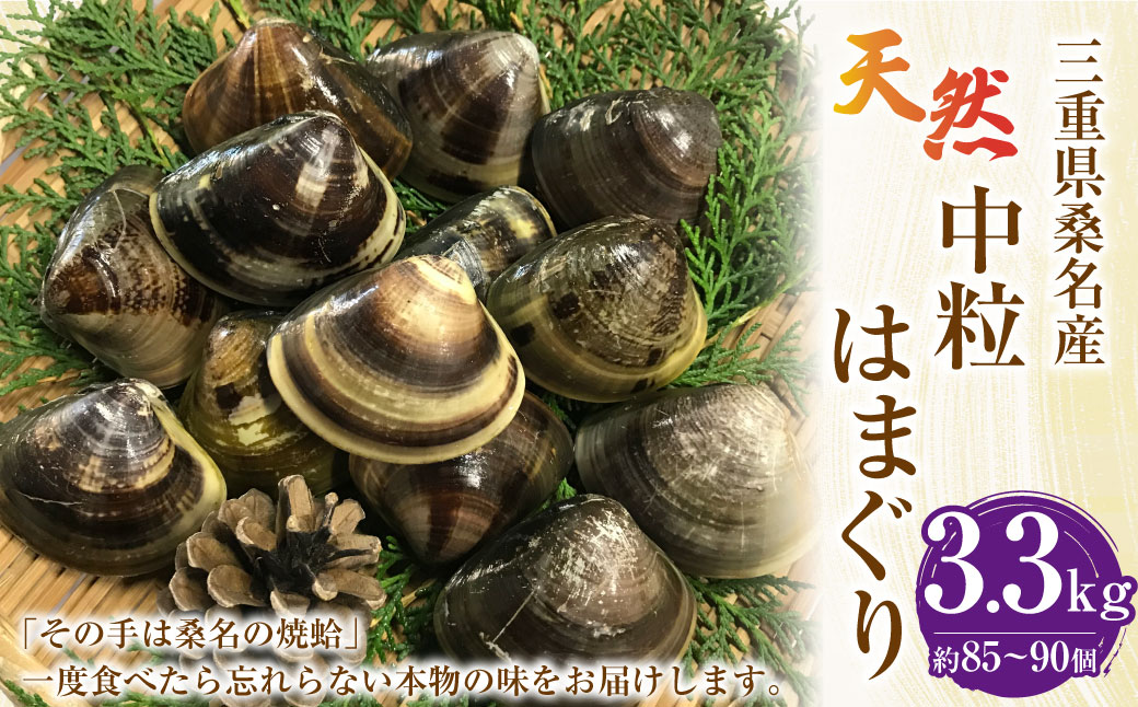 【指定日必須】【配送不可地域有】マルヨシ水産 桑名産中粒天然蛤 3.3kg（約85～90個）はまぐり ハマグリ 魚介 貝 魚貝 活はまぐり 焼きはま 海鮮 網焼き 酒蒸し お吸い物 パエリア パスタ