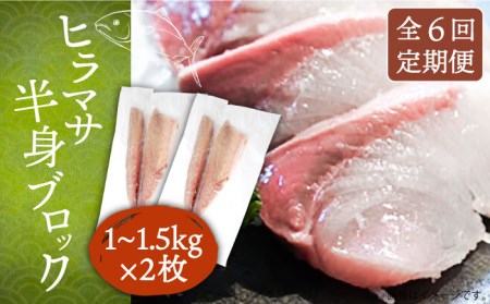 【全6回定期便】壱岐産 ヒラマサ フィレ 2kg〜3kg（半身×2枚・刺身用）[JDT043]