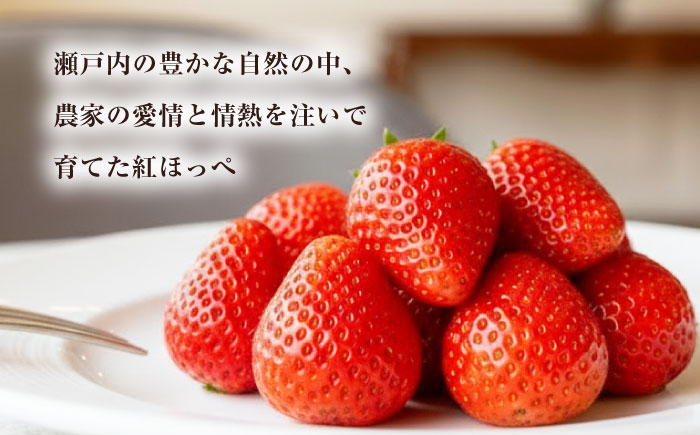 紅ほっぺ（M～3L）×4パック 約1kg　愛媛県大洲市/沢井青果有限会社 [AGBN054]