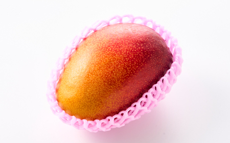 茨城県産 なめがたプリンセスマンゴー3L【450g以上】1個【配送不可地域：離島・沖縄県】【1647817】