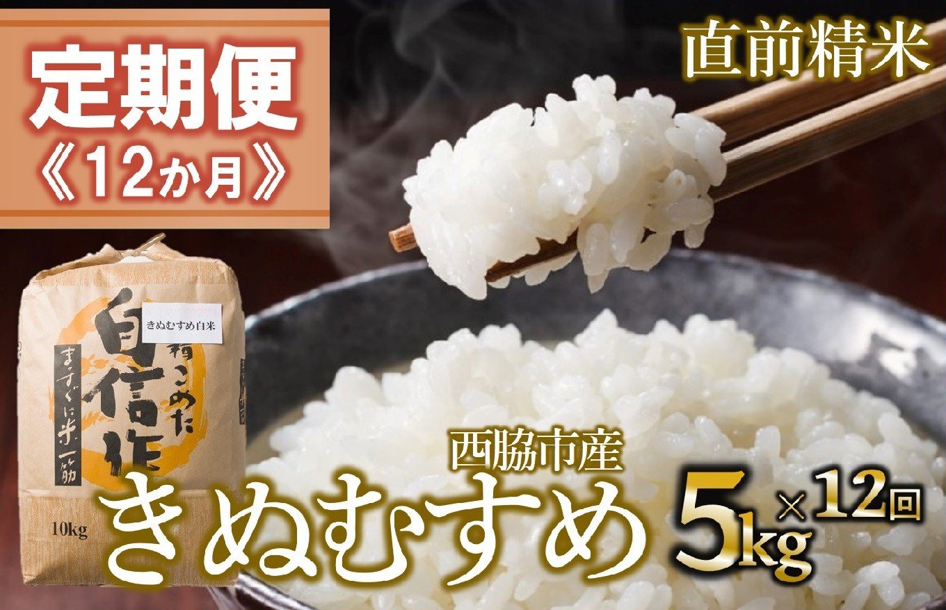 
                  【定期便 12か月 きぬむすめ】白米5kg（12か月連続お届け）新米 2025年産  米 お米 米5㎏ お米5㎏ 兵庫県産 きぬむすめ キヌムスメ 西脇市産 定期 連続 12回 12か月 1年 令和7年産 精米 便利 らくちん ラク
                
