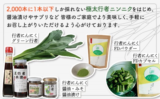 【ハーブとして最適】行者にんにくグリーン行者×4袋 （葉部）