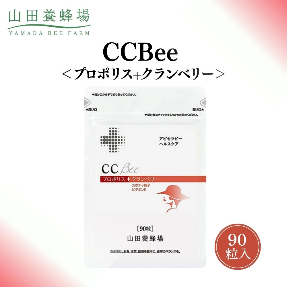 【ふるさと納税】CCBee（01040）【006-a092】