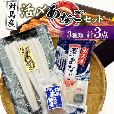 ふるさと納税 対馬市 対馬産 活〆 あなごセット