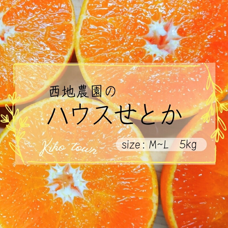 【ふるさと納税】 せとか 西地農園の ハウスせとか 5kg L〜Mサイズ 【2027年2月中旬から順次発送】 手選別 ハウスせとか みかん ミカン 蜜柑 柑橘 果物 くだもの フルーツ 予約 人気 ジューシー 甘い 産地直送 送料無料