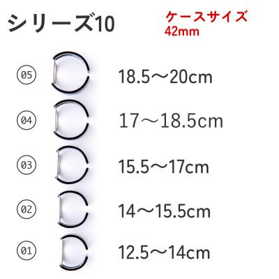 ふるさと納税 鯖江市 エアバングル/ドリーム シリーズ10 42mm サイズ04 |  | 03