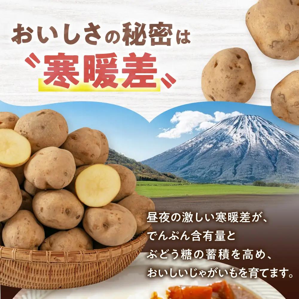  【先行予約】じゃがいも きたかむい 5kg [AJAK029] じゃがいも 