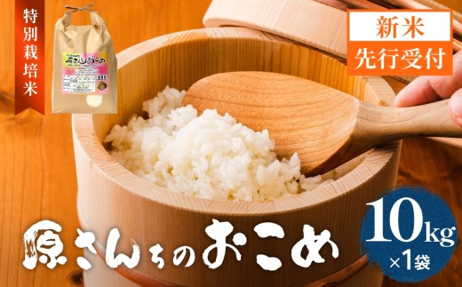 【令和8年産米先行受付】原さんちのお米 白米 10kg にこまる 米 お米 こめ コメ ご飯  ニコマル 常温 大分県 大分 玖珠町 玖珠