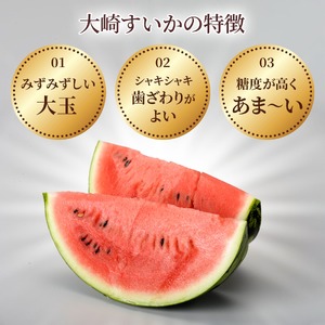＜2026年収穫分 先行予約＞大崎すいか 1箱（大2玉入り）|西瓜 甘い