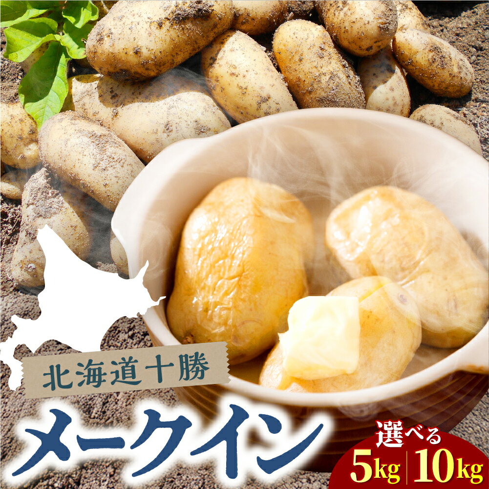 【ふるさと納税】 2025年産 メークイン Mサイズ 選べる : 5kg / 10kg【2025年10月下旬より順次出荷】 芋 おいも ジャガイモ 肉じゃが シチュー カレー ポテトサラダ 煮込み料理 炒め物 産地直送 北海道 十勝 芽室町
