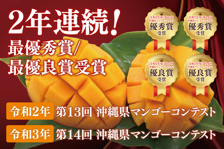 【2025年6月より順次発送】アーウィンマンゴー 3～6玉(約1.5kg)【白箱】 ご家庭用｜マンゴー アーウィンマンゴー アーウィン フルーツ 果物 くだもの おきなわマンゴー おきなわ 沖縄県 豊